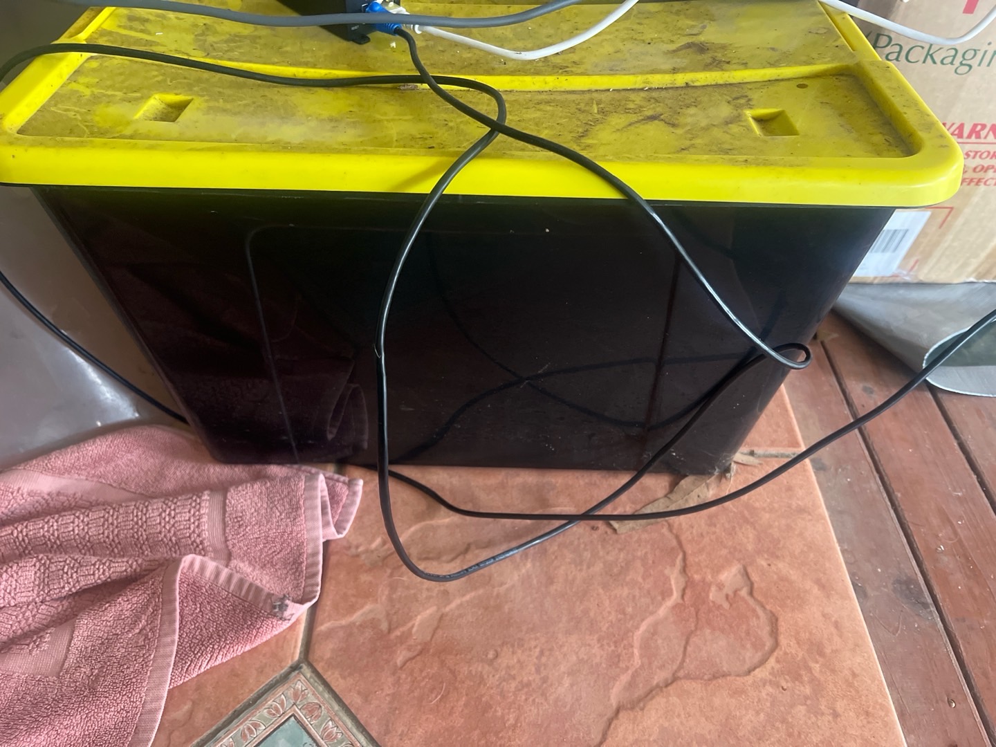 Review photo