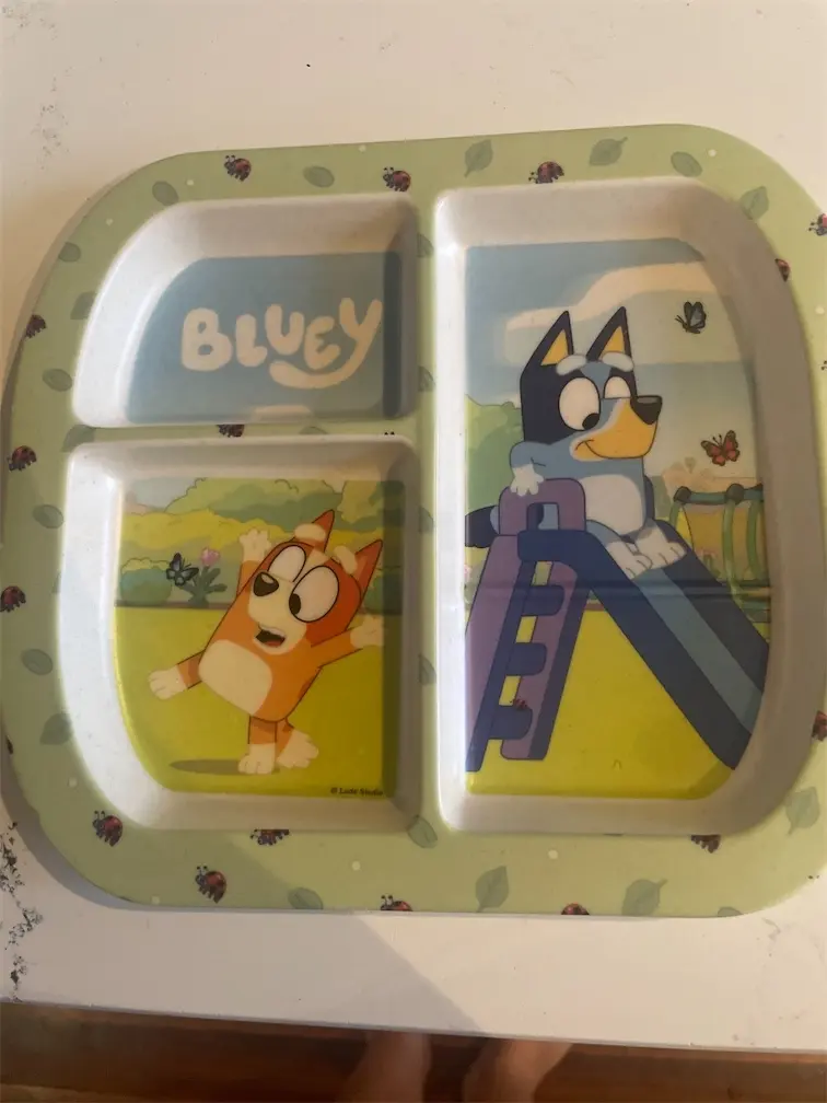 Bluey Divider Plate