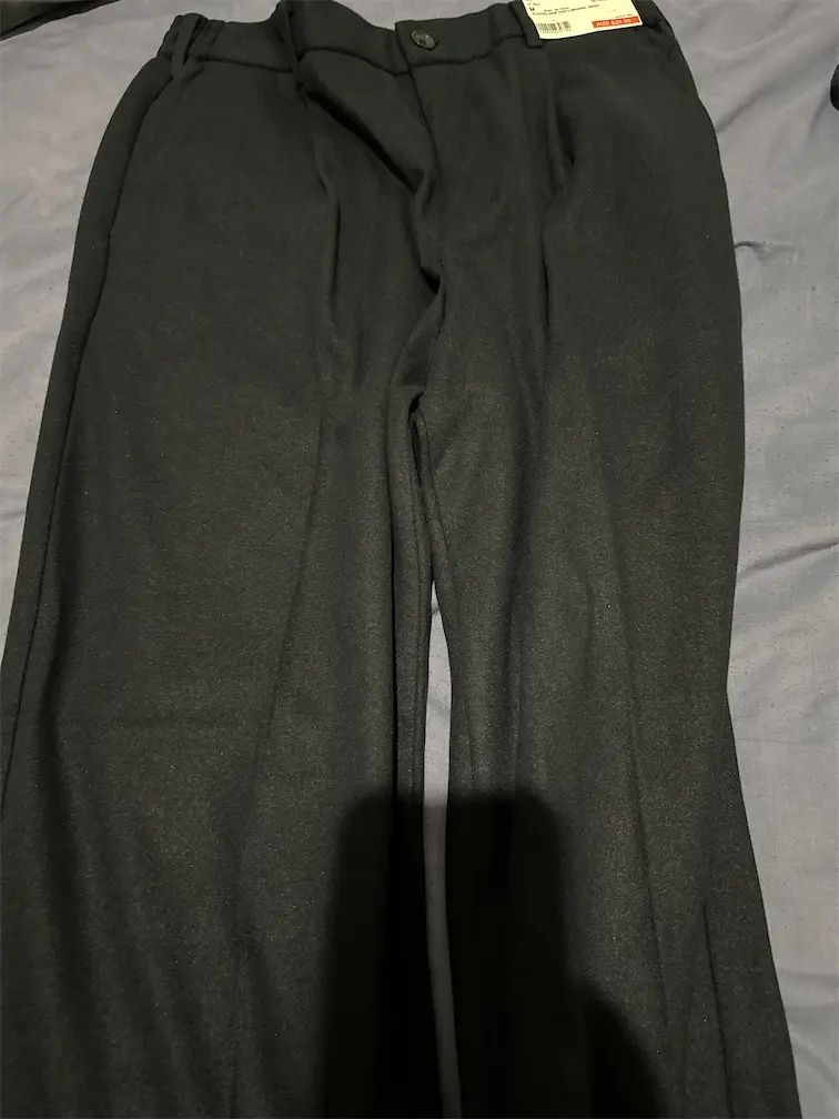 Pleated Wide Pants