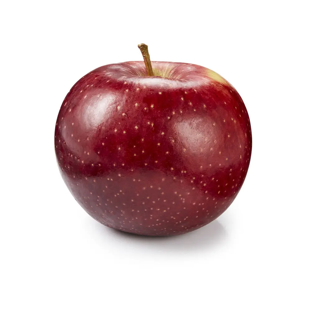 Moonlight Orchards Bravo 6490
