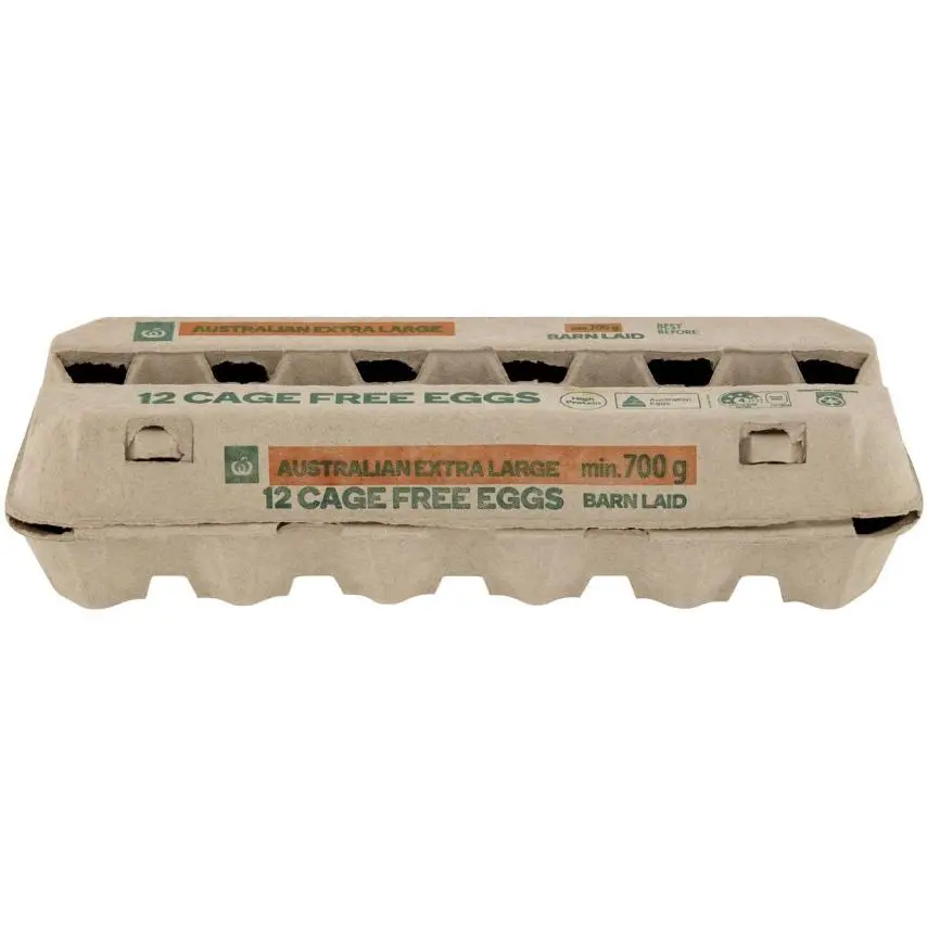 Woolworths 12 Extra Large Cage Free Eggs