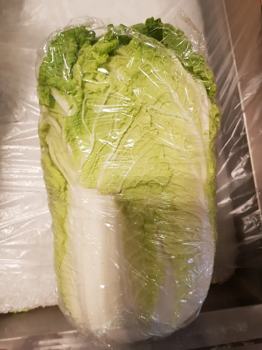 Wombok Cabbage
