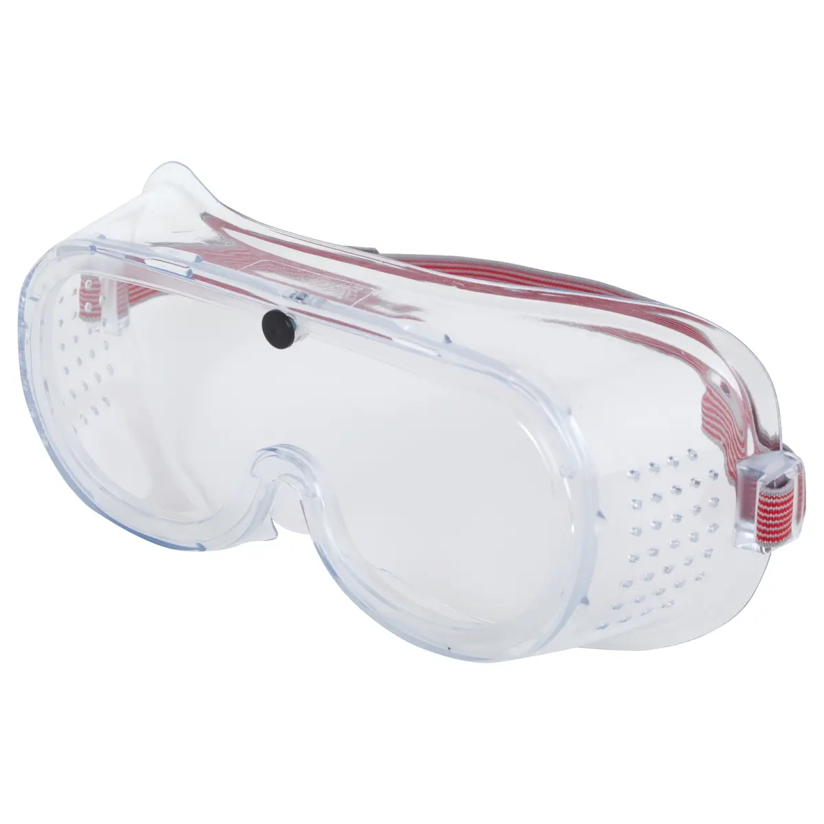 Protector Viewmaster Safety Goggles