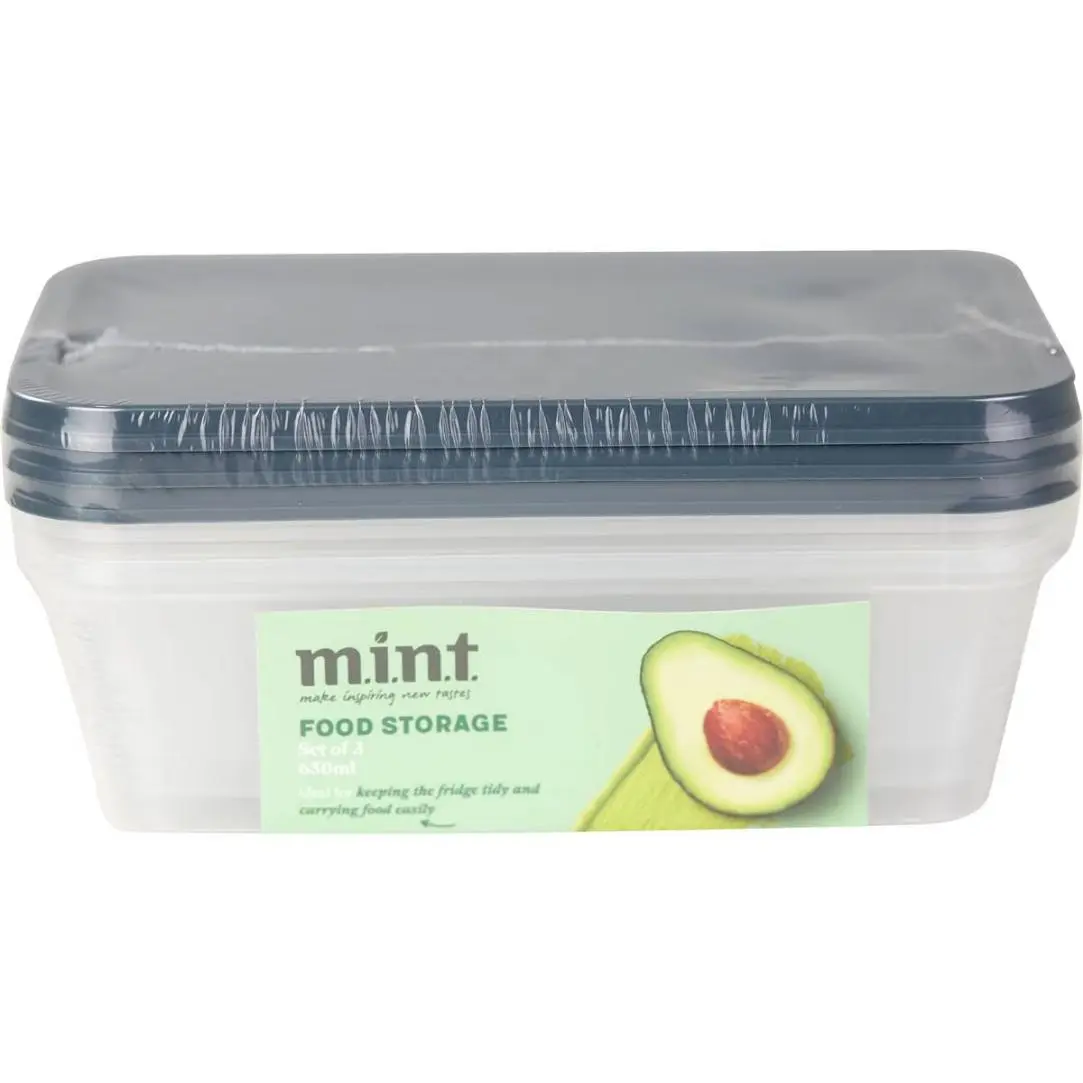 Mint Food Storage Container 650ml