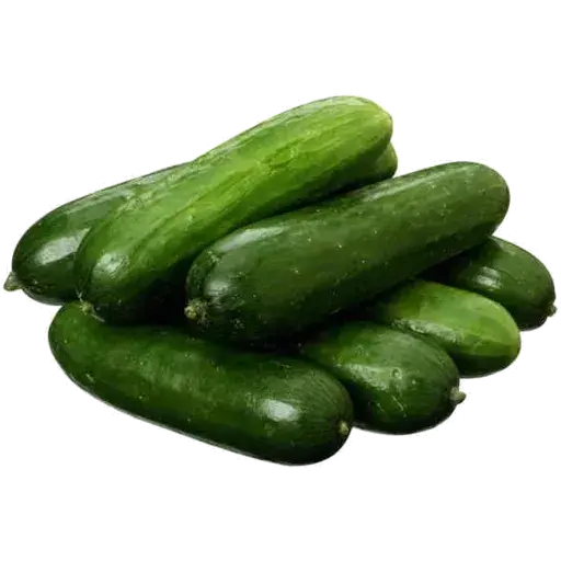Lebanese Cucumbers