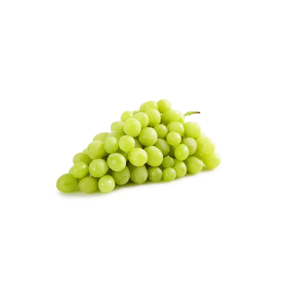 White Seedless Grapes Loose