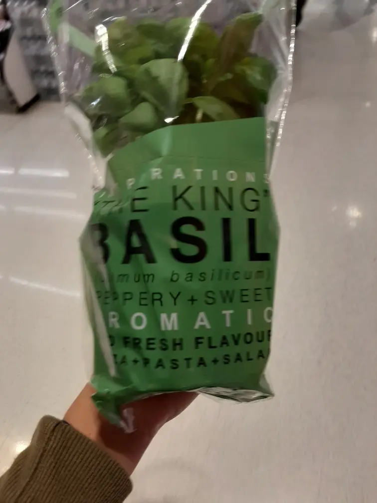 Basil