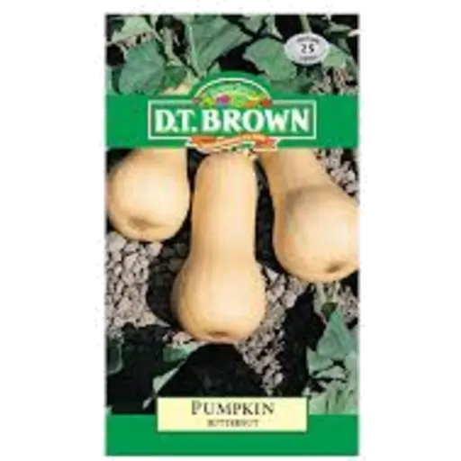 D.T. Brown Pumpkin Butternut Seeds 25pk