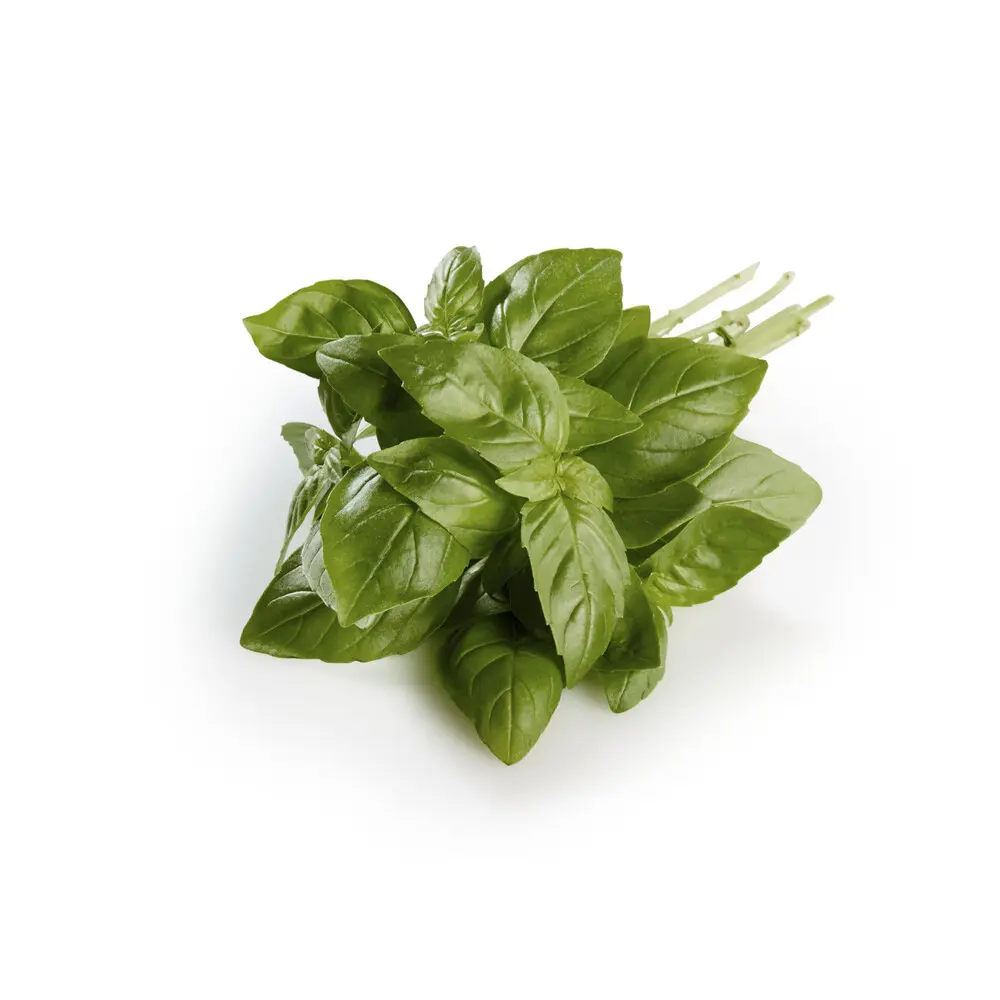 Sleeved Herbs Basil