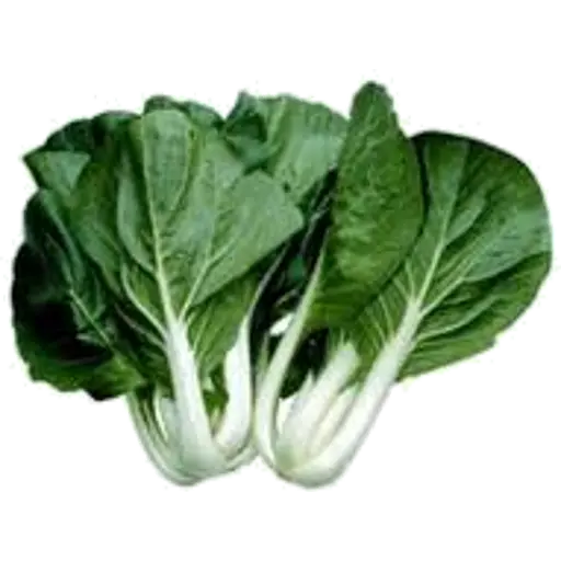 Pak Choy Baby Asian Greens