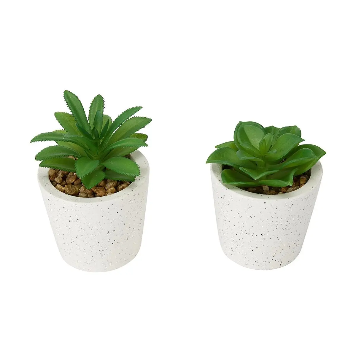 Artificial Succulent in Pot - Assorted