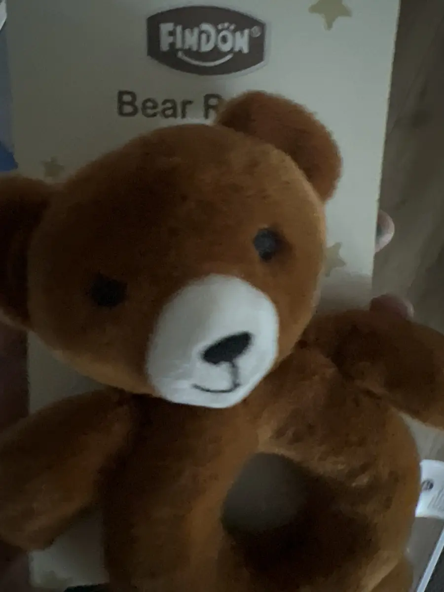 Bear Rattle Plush Toy