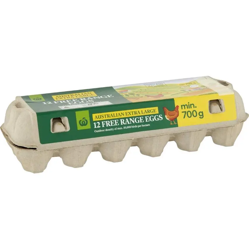 Woolworths 12pk X-Large Free Range Eggs 700g