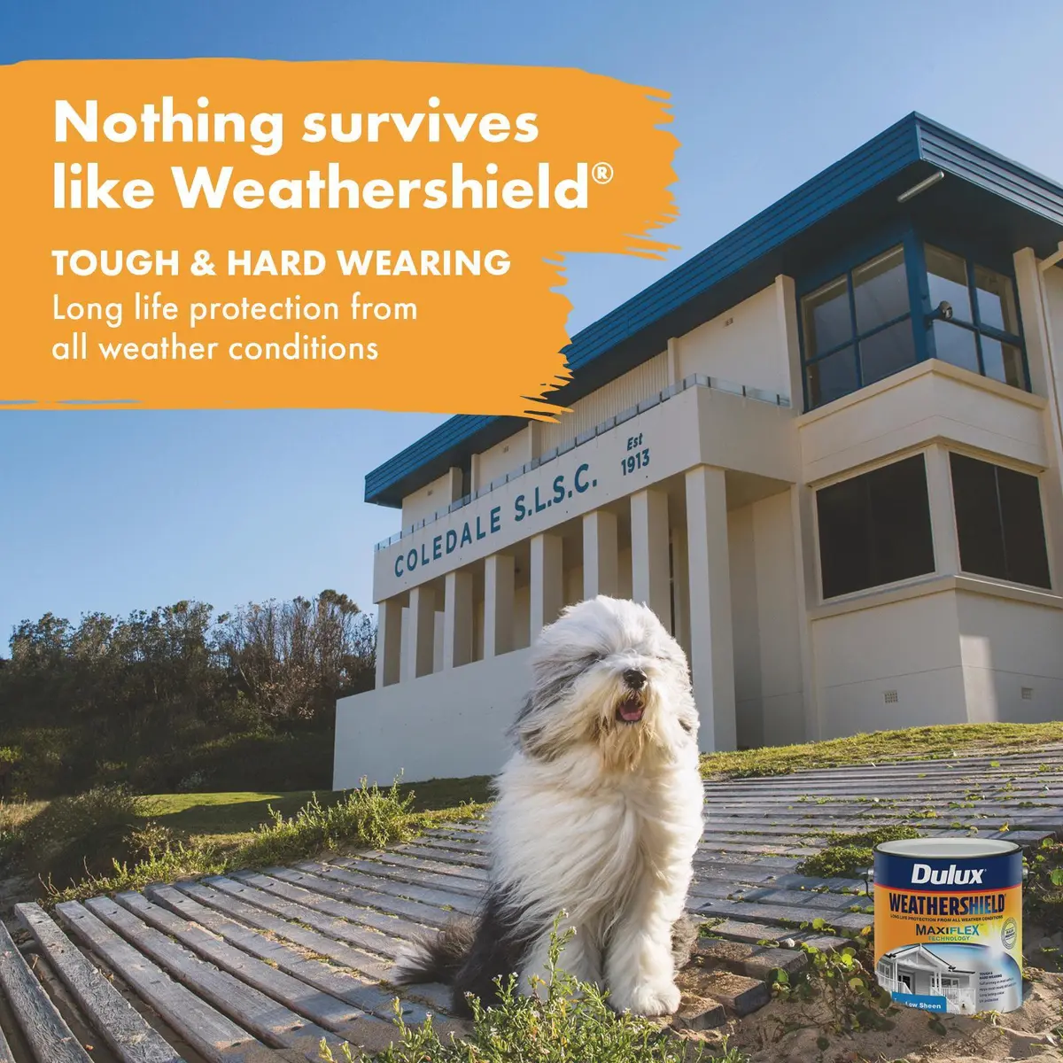 DULUX WEATHERSHIELD EXTERIOR LOW SHEEN BLACK 1LT