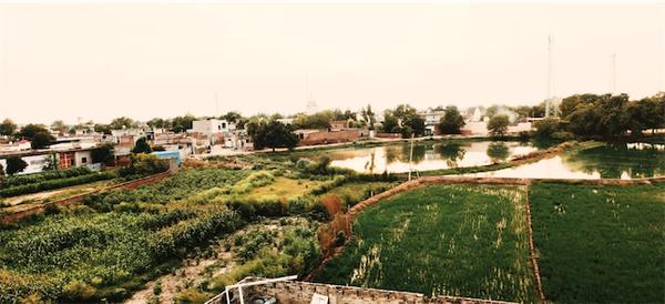 Arshdeep Vring avatar