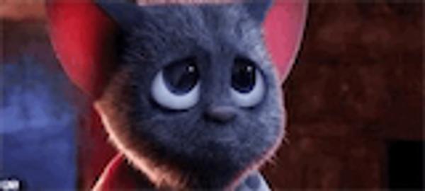 Sidra Rehman avatar