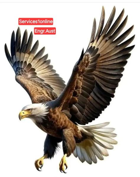 Muhammad Ansar Sohail avatar