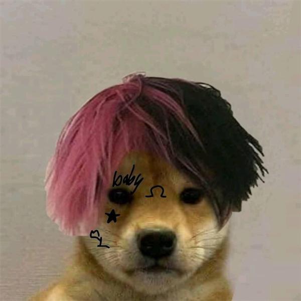 Jacob Krzciuk avatar