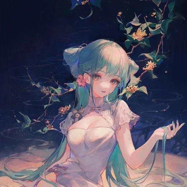 Siqi Ye avatar