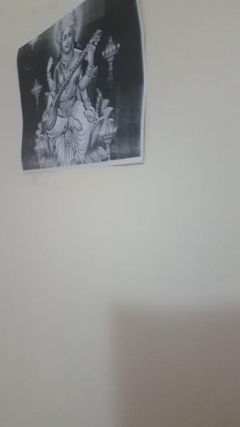 Kiran  Bala avatar