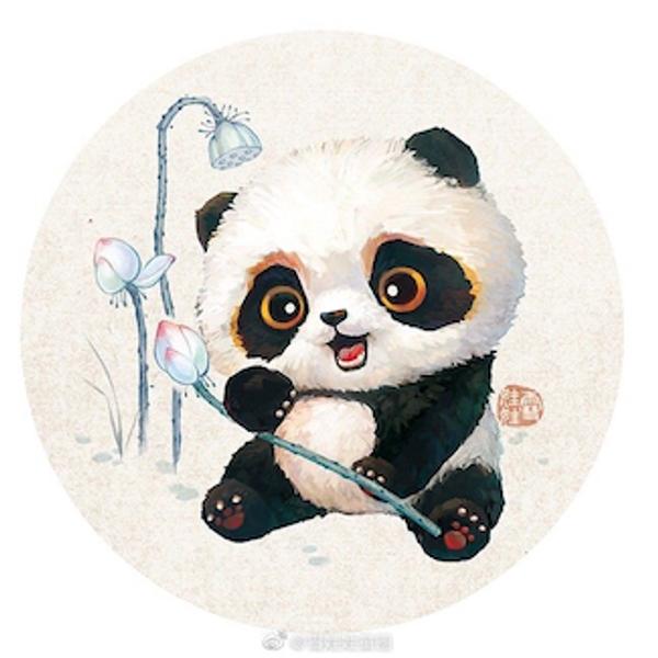 Ying Liu avatar