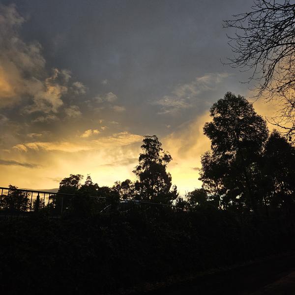 Rain avatar