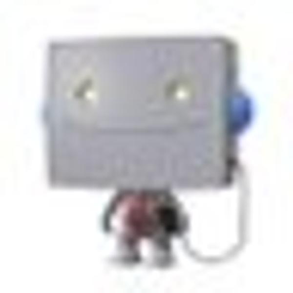 welbot (welbot.bsky.social) avatar