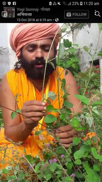 Rc Thapa avatar