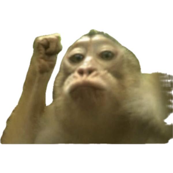 Ashley avatar