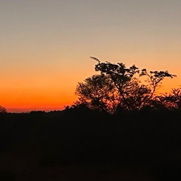 Tinofara Bako avatar